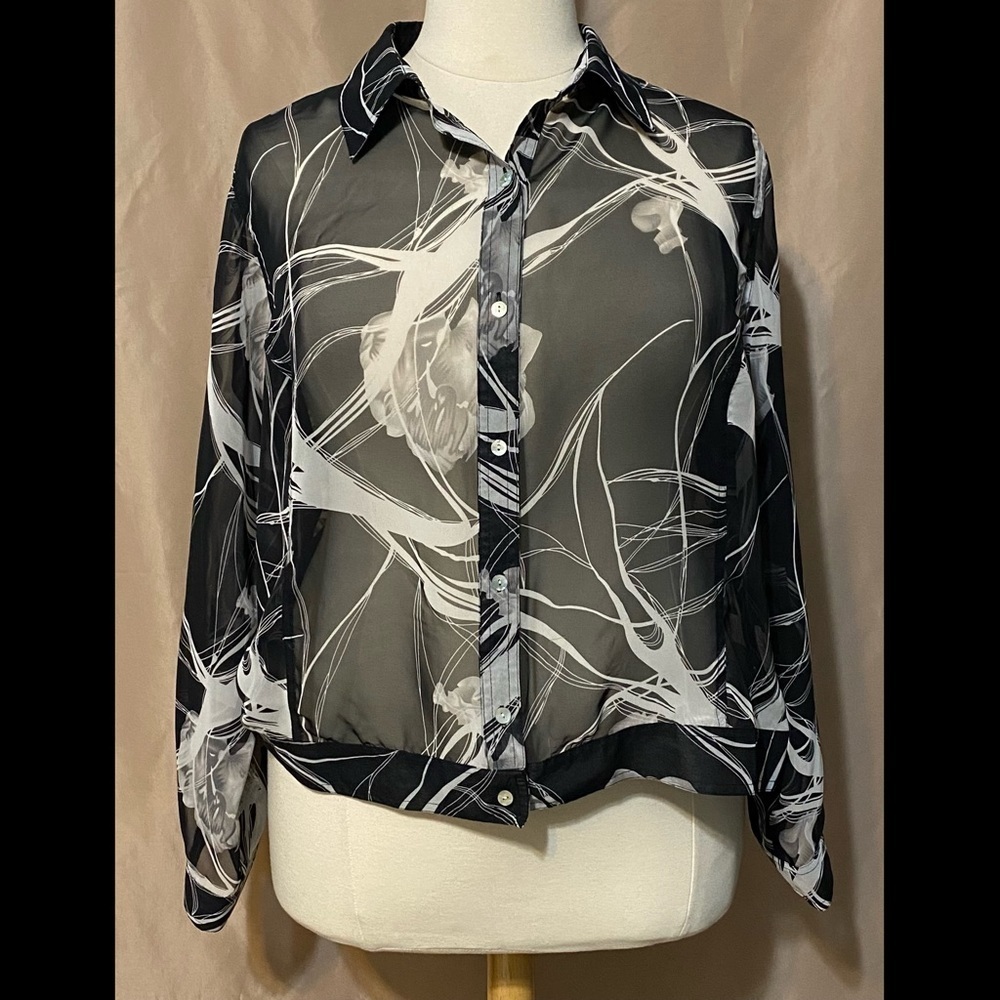 Nicola Woman 2X Sheer Blouse